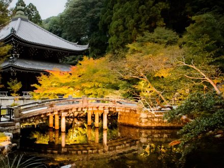 二重桥nijubashi 家乡美