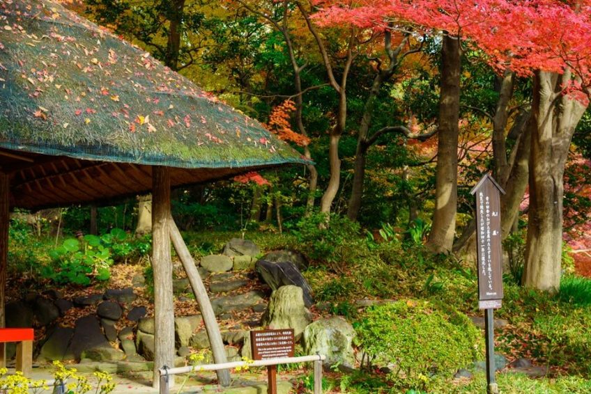 小石川后乐园 koishikawa korakuen garden