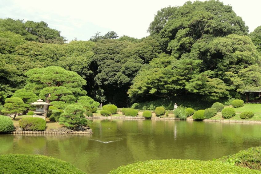 新宿御苑shinjuku Gyoen National Garden 家乡美