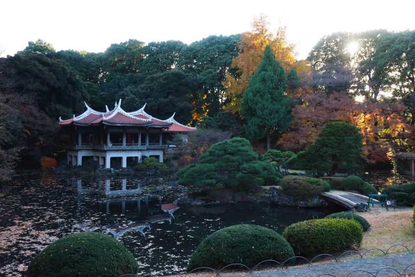 新宿御苑shinjuku Gyoen National Garden 家乡美