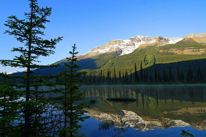 贾斯珀国家公园 jasper national park