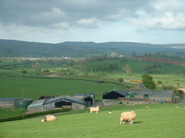 Farms in england. The Southwest фермы. Sheeplend ферма Англия. The Southwest of England Farms. Ферма s&a Великобритания.