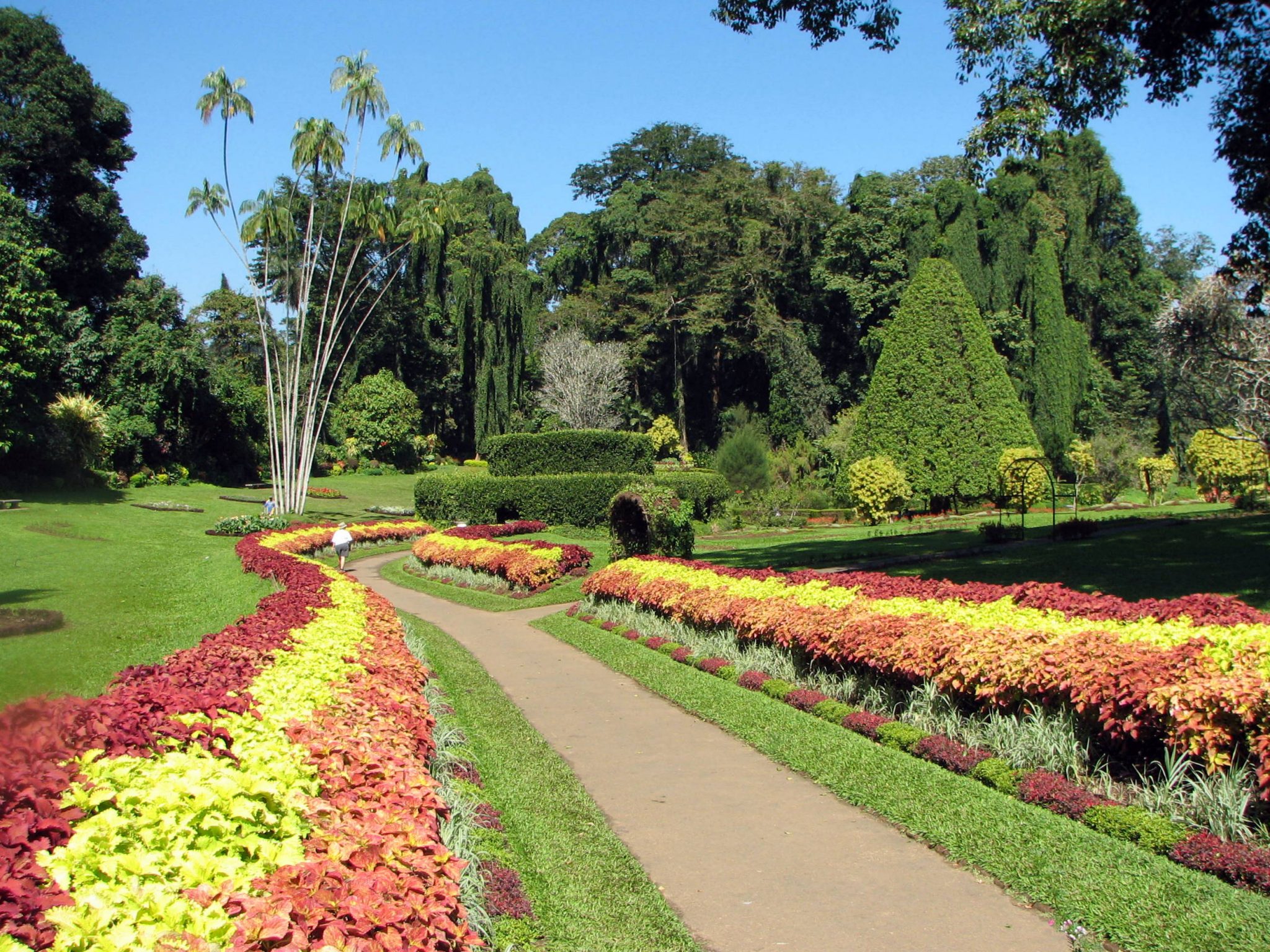 檳城植物園Penang Botanical Garden – 家乡美