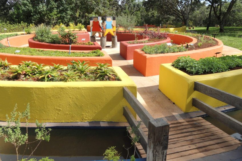 巴西利亞植物園 Jardim Botanico de Brasilia - 家乡美