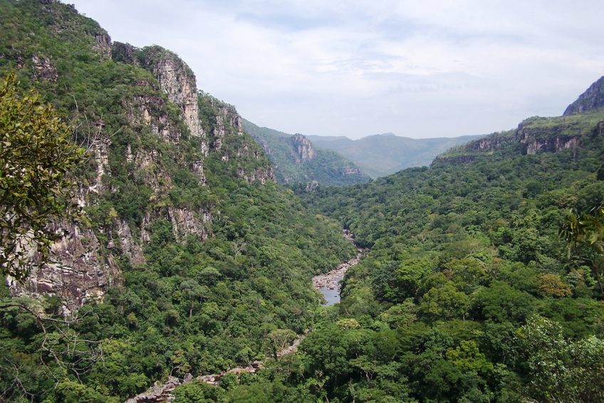 奇久卡国家森林公园 tijuca national park