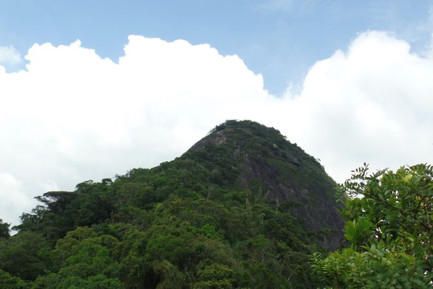 奇久卡国家森林公园 tijuca national park